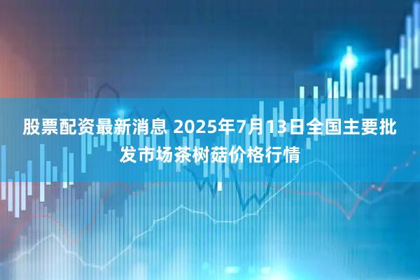 股票配资最新消息 2025年7月13日全国主要批发市场茶树菇价格行情