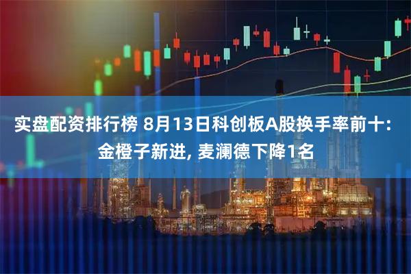 实盘配资排行榜 8月13日科创板A股换手率前十: 金橙子新进, 麦澜德下降1名